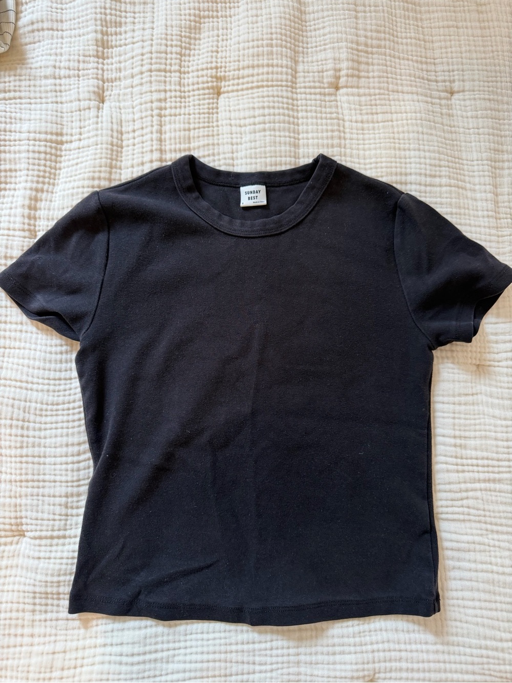 Sunday Best Aritzia Black Cropped Short Sleeve Crew Tee